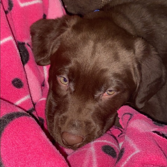 Meet your Posher, Kelly - Picture 1 of 1